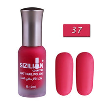 Load image into Gallery viewer, 40 Colors Matte Dull Nail Polish